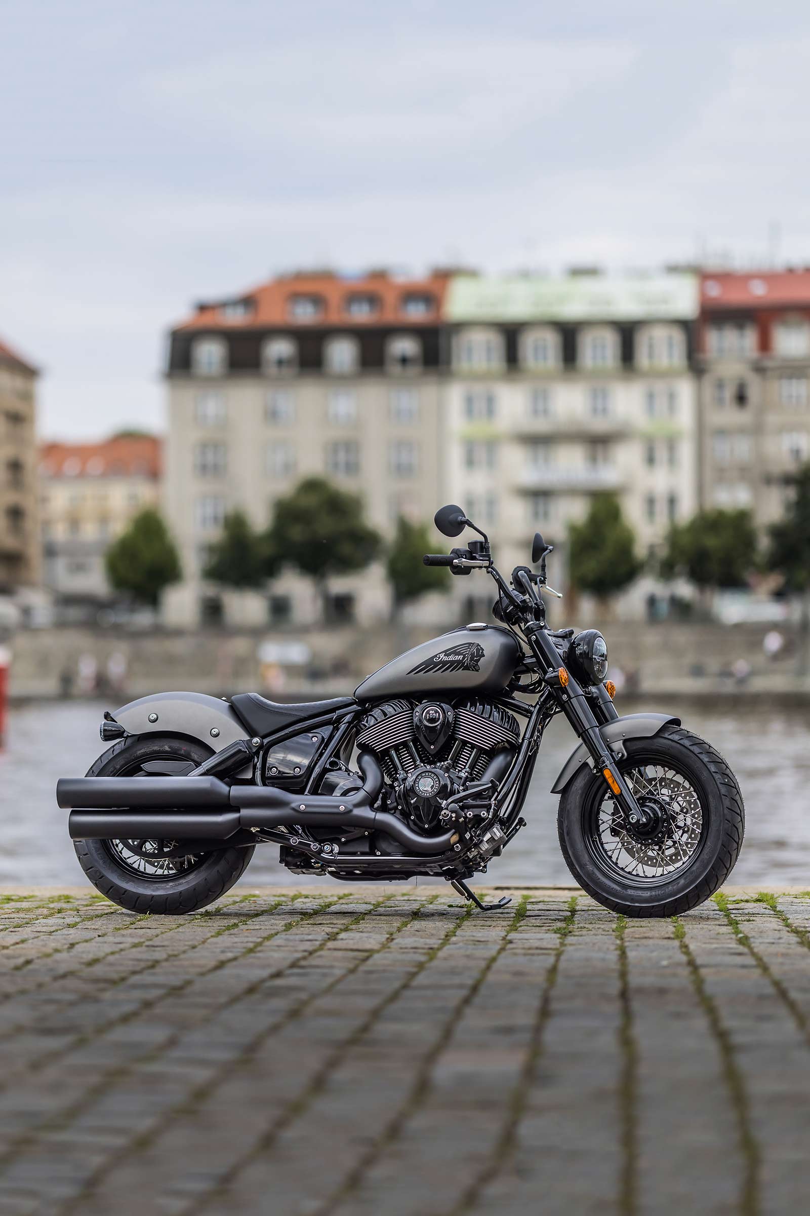 Chief Bobber Dark Horse